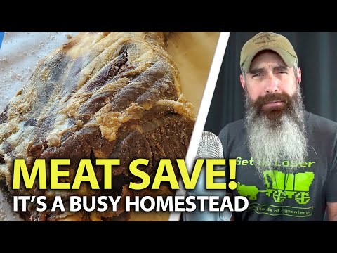 The Busy Homestead Season - Politics, Repairs and MEAT!