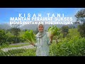Kuis Petani Milenial