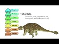 Ankylosaurus and Scientific Classification