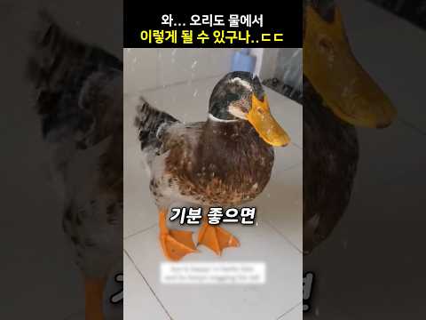 기분 좋으면 사정없이 흔들리는 꼬리ㅋㅋ
