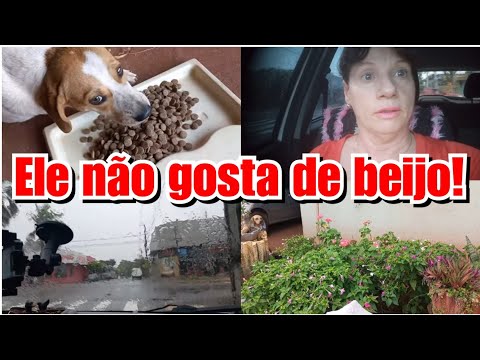 SAÍMOS NO MEIO DE UM TEMPORAL + LIMPEZA DE NATAL! Vlog ❤️