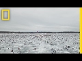 Ice Fishing Event Insights