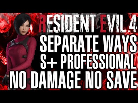 Separate Ways Professional S+  No Damage No Save No Bonus Items No Glitches