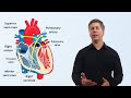 Cardiovascular System Concepts