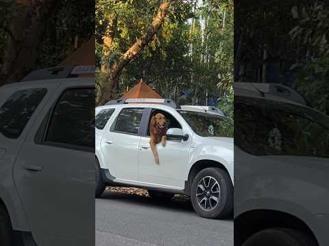 Tyre maatan പോയപ്പോ കിട്ടിയ പണി 😨 നിങ്ങളും Ithokke അറിഞ്ഞ് ഇരിക്കുക ‼️ #shorts #trending #explore