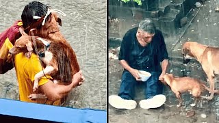 Los Rescates mas Emotivos de animales