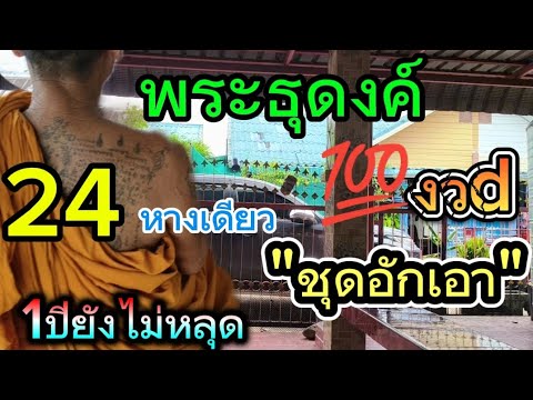 ถืกจนนับหลง พระธุดงค์100งวd ปล่อยแล้ว  หลัง24 แม่นคัก 1/8/68
