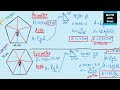Calculating Area and Perimeter of Polygons
