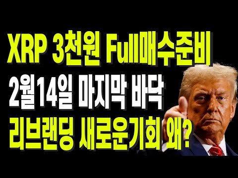 XRP 3천원 Full매수준비 2월14일 마지막 바닥 리브랜딩 새로운기회 왜?