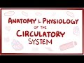 Exploring the Circulatory System: Heart and Blood Vessels