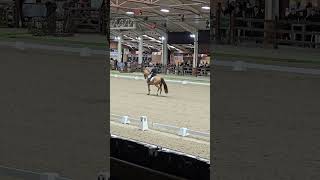 26.3.1 CDI Lier GPSP Katharina Hemmer&Denoix last center line