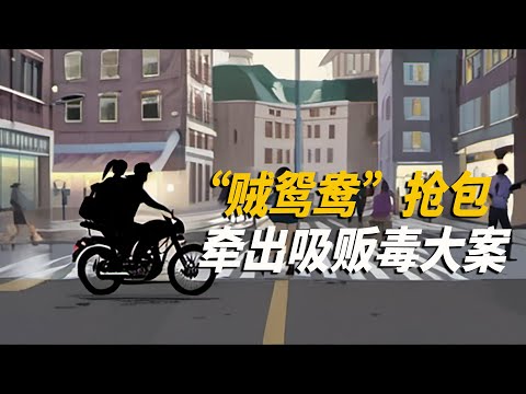 “贼鸳鸯”大街上公然抢包，却意外牵连出吸毒贩毒大案！
