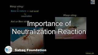 Importance of Neutralization Reaction