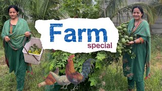 చాల రోజులకి farm స్పెషల్ #farmland #farmlife #youtube 