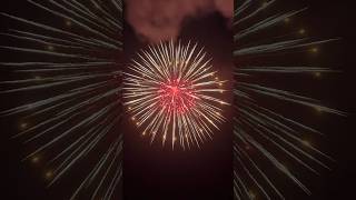8‘inch Brocade Crown w/Yellow Wheel & Red Pistil w/Tail#displayshells #fireworks #vuurwerk#礼花弹#pyro