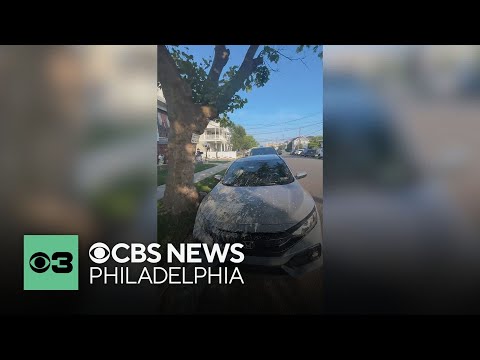 Unlucky driver parks under "Warning: Poop Zone" sign in Wildwood, New Jersey | What's Trending