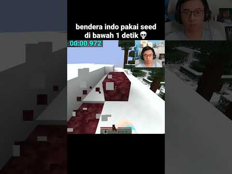 Momen Speedrun Bendera Indonesia Minecraft