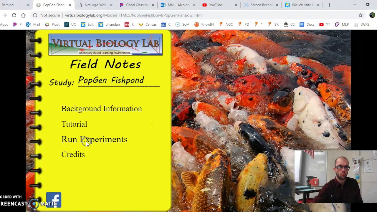 <strong>Popgen Fishbowl Virtual Lab Answer Key: Unlocking the Secrets of Genetic Diversity</strong>