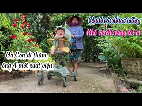 Sáng 2 Bà Cháu Đi Chơi Về Là Có Canh Cà Chua Trứng Với Khô Cá Chỉ Vàng Tỏi Ớt Nhà Làm - Em Gái Quê