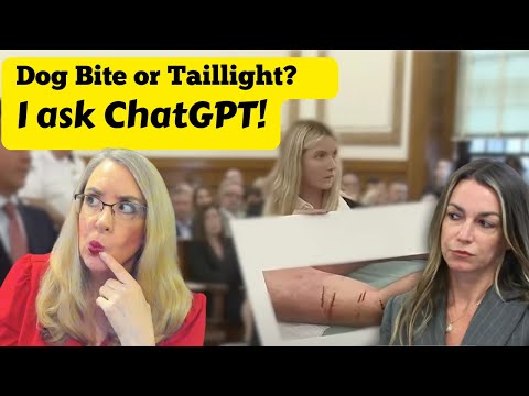 Dog Bite or Taillight?  I Ask ChatGPT About the Karen Read Case