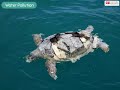 Understanding Water Pollution