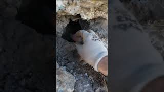 Paha Biçilmez Defineler Kasadan Çıkıyor !!