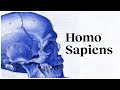 Understanding Human Evolution and Belief Systems