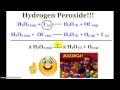 Catalysts and Enzyme Functions