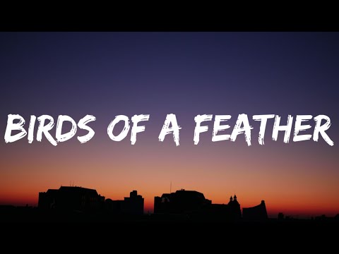 Billie Eilish - BIRDS OF A FEATHER (Lyrics)