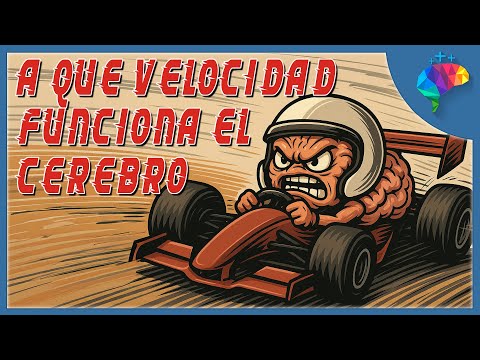 VELOCIDAD CEREBRAL - ¿Qué es Más Rápido, tu Cerebro o tu Ordenador?