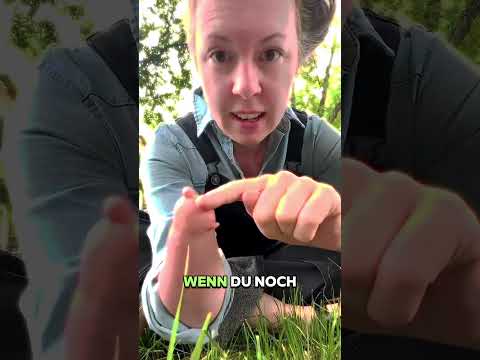 Warum du nie an einer chinesischen Fingerfalle ziehen solltest! 😱🖐️#Fingerfalle #Lifehack#Trick17