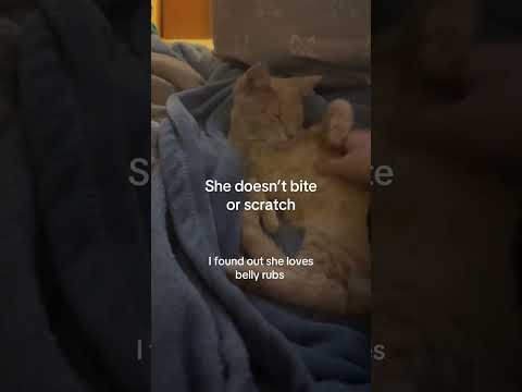 Kittyo like I am shy but just a lil bit