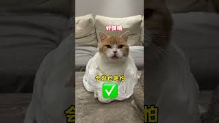 【#麻蛋和丑丑】为什么腿短的猫更会游泳? #辅舒良萌宠拯救鼻鼻大作战 #丙酸氟替卡松鼻喷雾剂#辅舒良#猫咪的迷惑行为