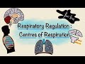 Respiratory Centers and Functions