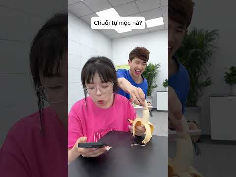 Quả chuối biết mọc #videoshort #cuoichutthoi #funny #haihuoc