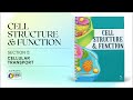 Cellular Transport: Key Concepts and Functions