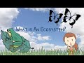 Ecosystem Components and Interactions