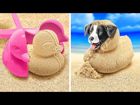 Encontré un cachorro en la playa 🐶😍 Consejos inteligentes para dueños de mascotas