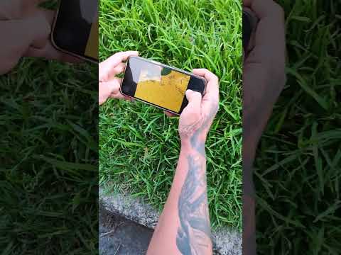 Que hacen los muchachos por aquí ?