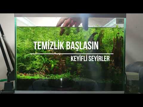 AKVARYUM TEMİZLİĞİ (HIZLANDIRILMIŞ ÇEKİM)