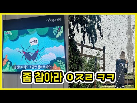 "러브버그? 국민들  참을 줄 알아야 " ㅋㅋ | 도람뿌