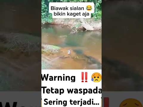 Kirain beneran buaya tau nya biawak ๐คฃ