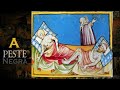 Peste Bubônica: Fatos e Sintomas