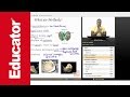Mollusks: Features and Functions