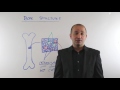Bone Cells and Conditions