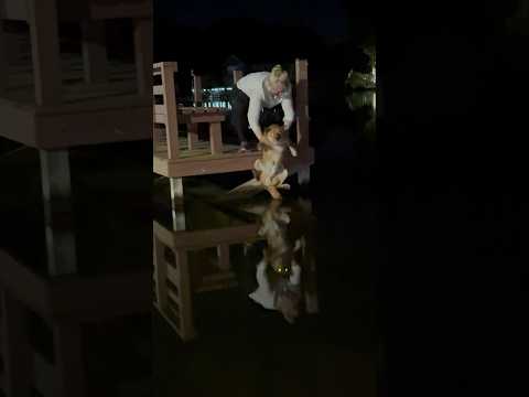 Sometimes You Just Need a Midnight Dunk in the Lake