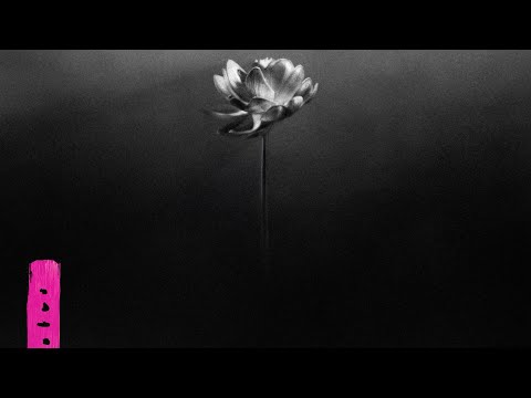 Little Simz - Lotus (Full Album)