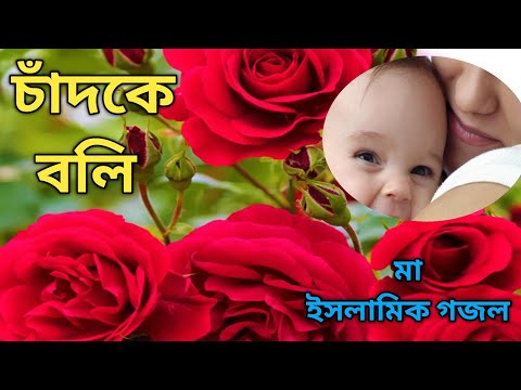 Ami Chad Ke Boli Tumi Sundor Nou || আমি চাঁদকে বলি || New Gojol 2025 || Song || Islamic ||