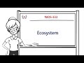 Ecosystem Roles and Functions
