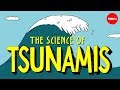 Exploring the Mechanics of Tsunamis